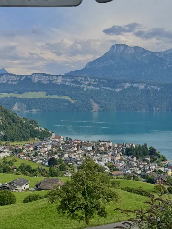 Miasteczko nad Vierwaldstättersee widziane ze zbocza, w tle masywy Alp